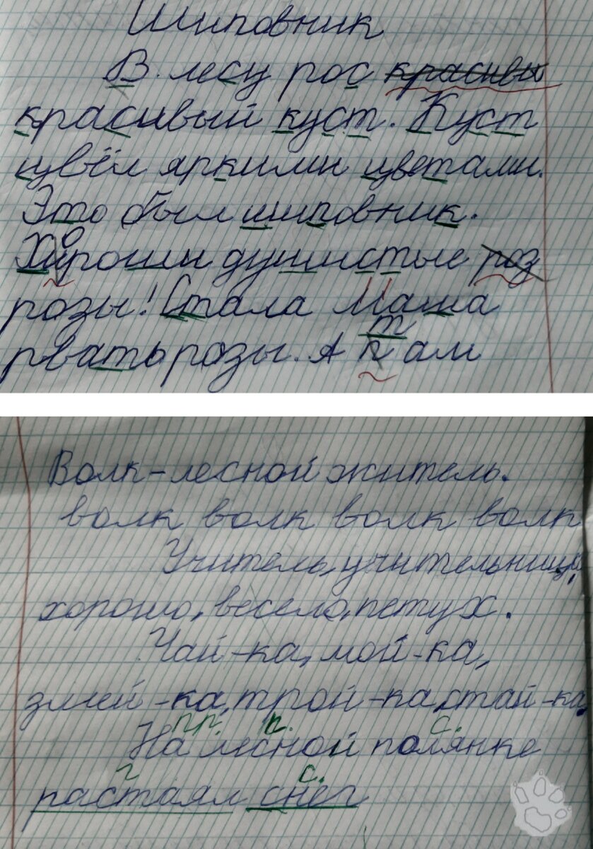 Красивый почерк. Нужен или нет? | ДетскаяПсихологияПотаповаОльга | Дзен