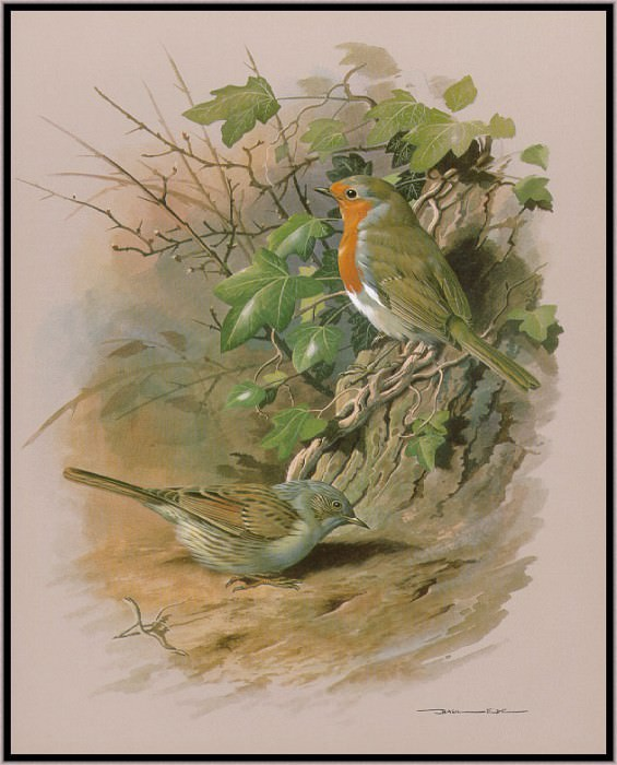 ����� ���. ��������� � ���������             https://gallerix.ru/storeroom/168377568/N/252747431/