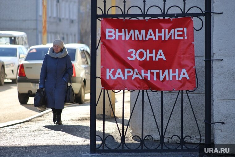    Карантин по бешенству продлится 60 дней