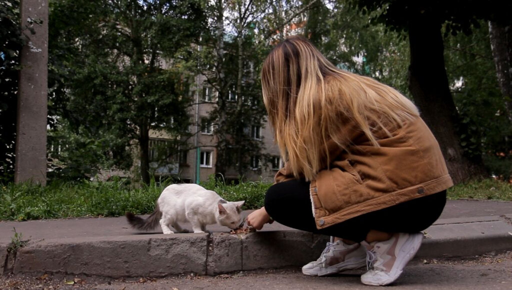 Человек и кошка голодны. Девочка с котенком на улице. Кормление бездомных кошек. Девочка кормит бездомного котенка. Девочка с кошкой бездомной.