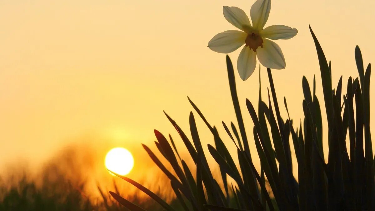 Магнитные бури утихли, чтобы нанести новый удар. Фото: pxhere.com