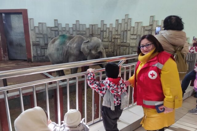    Фото: Российский Красный Крест