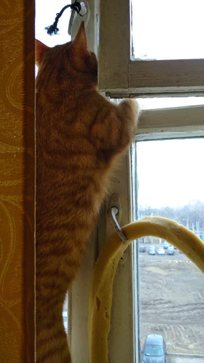 Личное  фото.