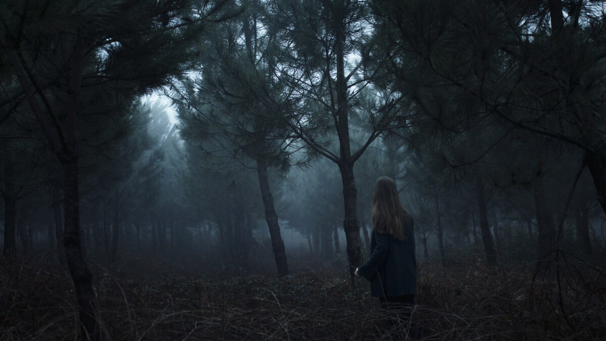 Яндекс. Картинки. 