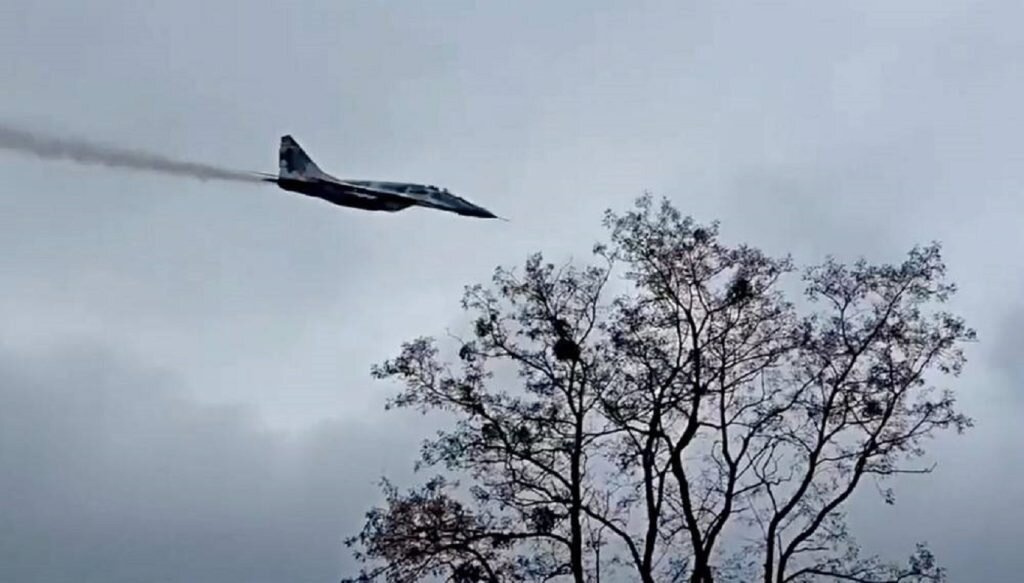    Фото: Twitter Елена Стеценко