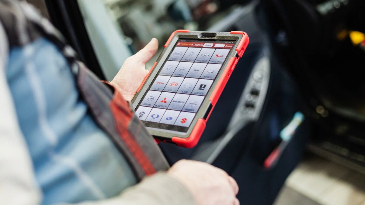 Картинка из открытых источников 