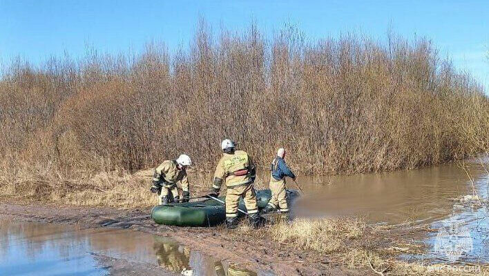     В Удмуртии из реки Чепцы в пос. Балезино 6 апреля спасатели достали тело утонувшего местного жителя, рыбачившего на водоеме накануне. Об этом Udm-info рассказали в пресс-службе ГУ МЧС по региону.