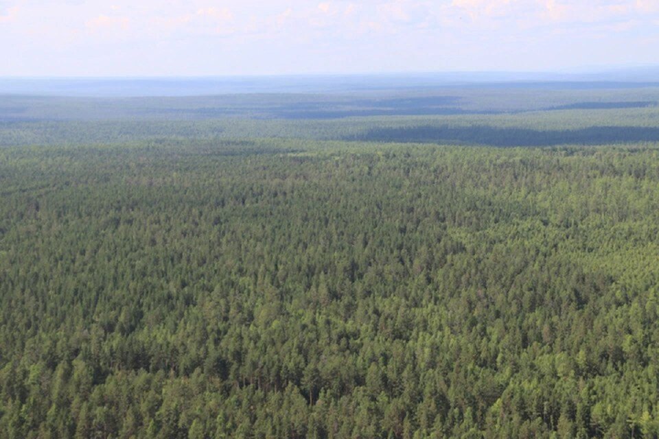    Пожароопасный сезон открыли до того, как стали возникать первые возгорания, чтобы все силы находились в максимальной боевой готовности. Пресс-служба правительства Иркутской области