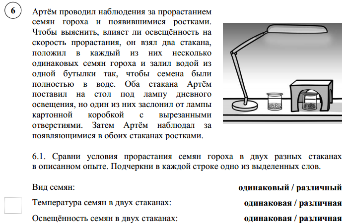 Подготовка к впр окружающий мир 4 класс презентация