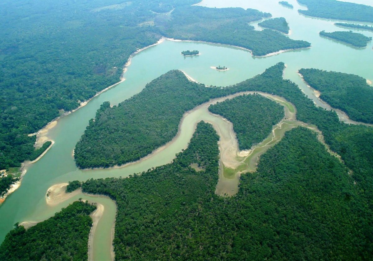 Амазонка полноводна круглый год. Река Амазонка в Бразилии. Устье реки Амазонка. Амазония Кассель. Река Аракара.