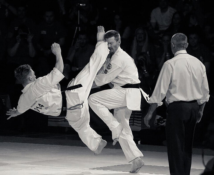 Kyokushin Fight