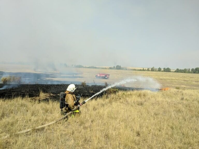    В Оренбургской области прогнозируют четвертый класс пожарной опасности Кристина Просвиркина