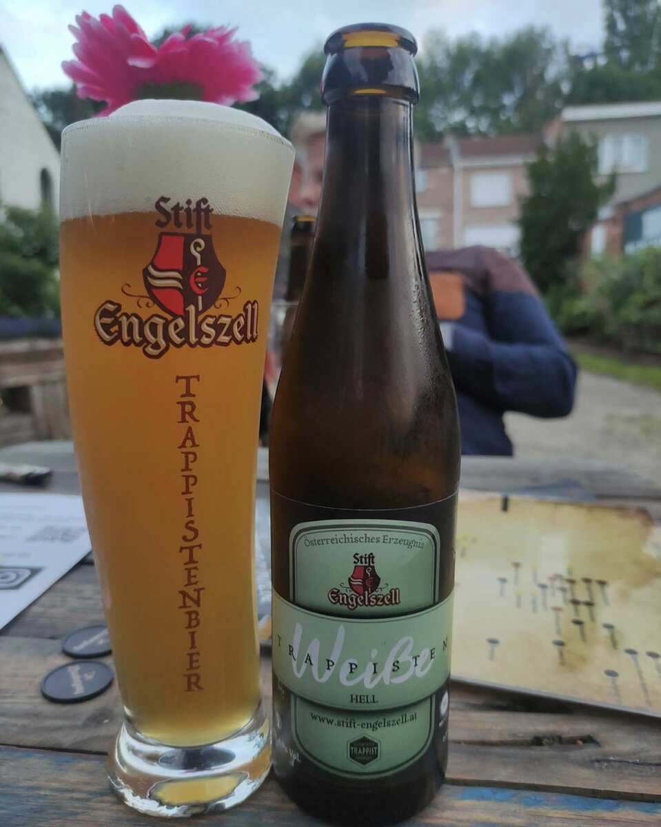На фото, в данный момент, один из редчайших траппистских сортов в России - Энгельсцель Вайсбир Траппистен, да еще и в фирменном бокале - в свое время этот представитель траппистского объединения, родом из Австрии был доступен в России и имел большую популярность у небольшой аудитории любителей - Сорта Бено и Григориус довольно специфичные из-за своей крепости и вкуса, но вместе с этим - это было чуть ли не единственное пиво из Австрии