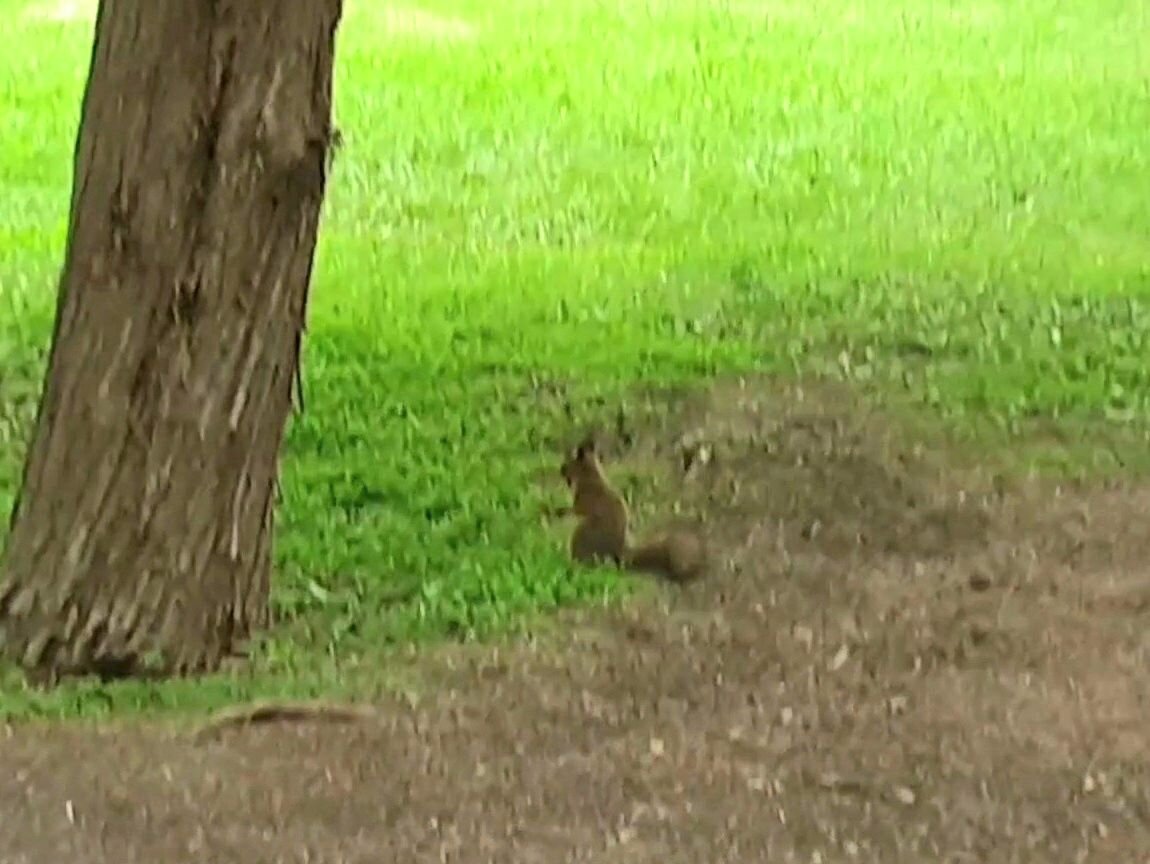 -1-3