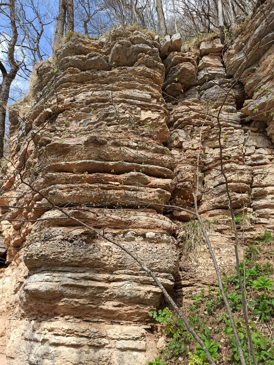 Фото из личного архива 