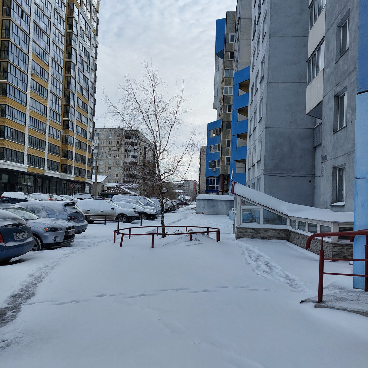 Состояние дежавю (deja vue) =  уже когда-то случавшееся в жизни, уже знакомое... Вот так же было совсем недавно - утром 7 апреля.Так же утром проснулись и за окном ...снег и мороз. Сегодня 17 апреля, неделя прошла и у погоды на Алтае фокус повторился: снег, но его побольше и он влажный, мороз, и он поменьше, но его обещают на несколько дней.