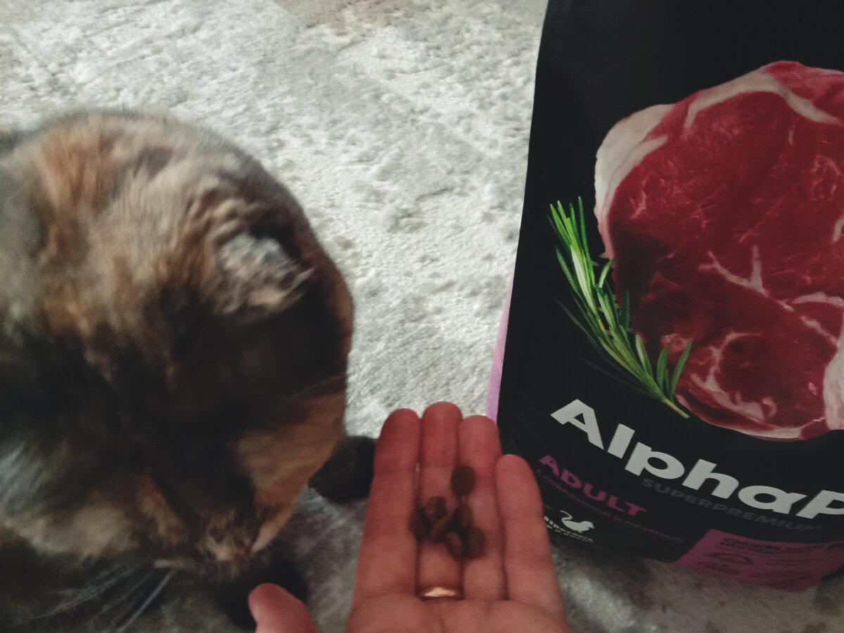 Пробуем сухой отечественный корм AlphaPet и влажный в необычной ...