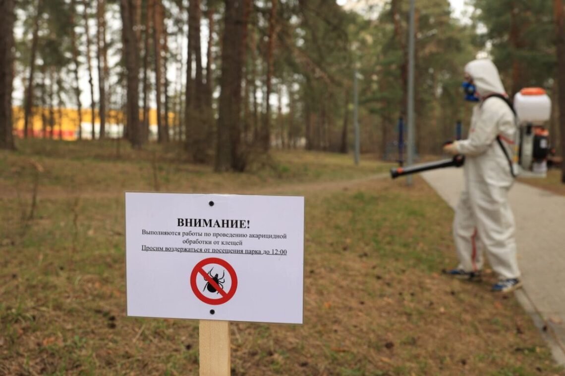 Противоклещевую обработку проводят в общественных пространствах Дзержинска  | Дзержинские Ведомости | Дзен