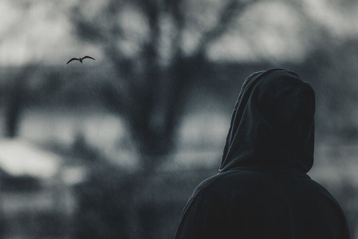 Фото с сайта: https://ru.pinterest.com/pin/589127195021301165/, автор/разместил: #Abdulloh 🇺🇿 