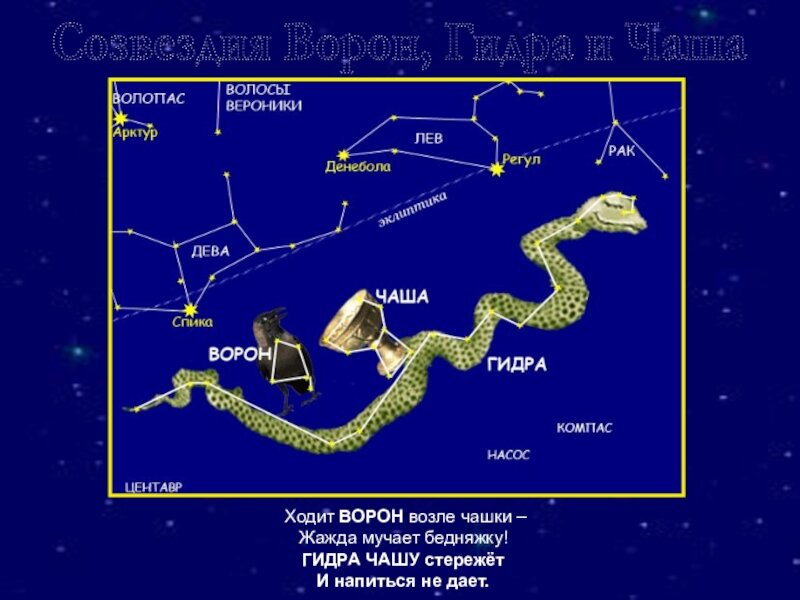 Созвездия на небе весной. Созвездия весеннего неба волосы Вероники. Созвездие гидра Легенда. Волосы Вероники Созвездие схема. Волосы Вероники Созвездие на небе.