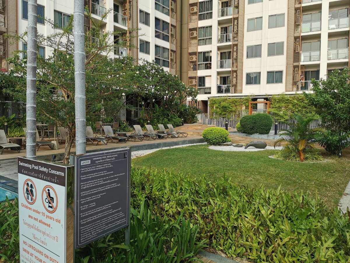 Лежаки и газон для йоги