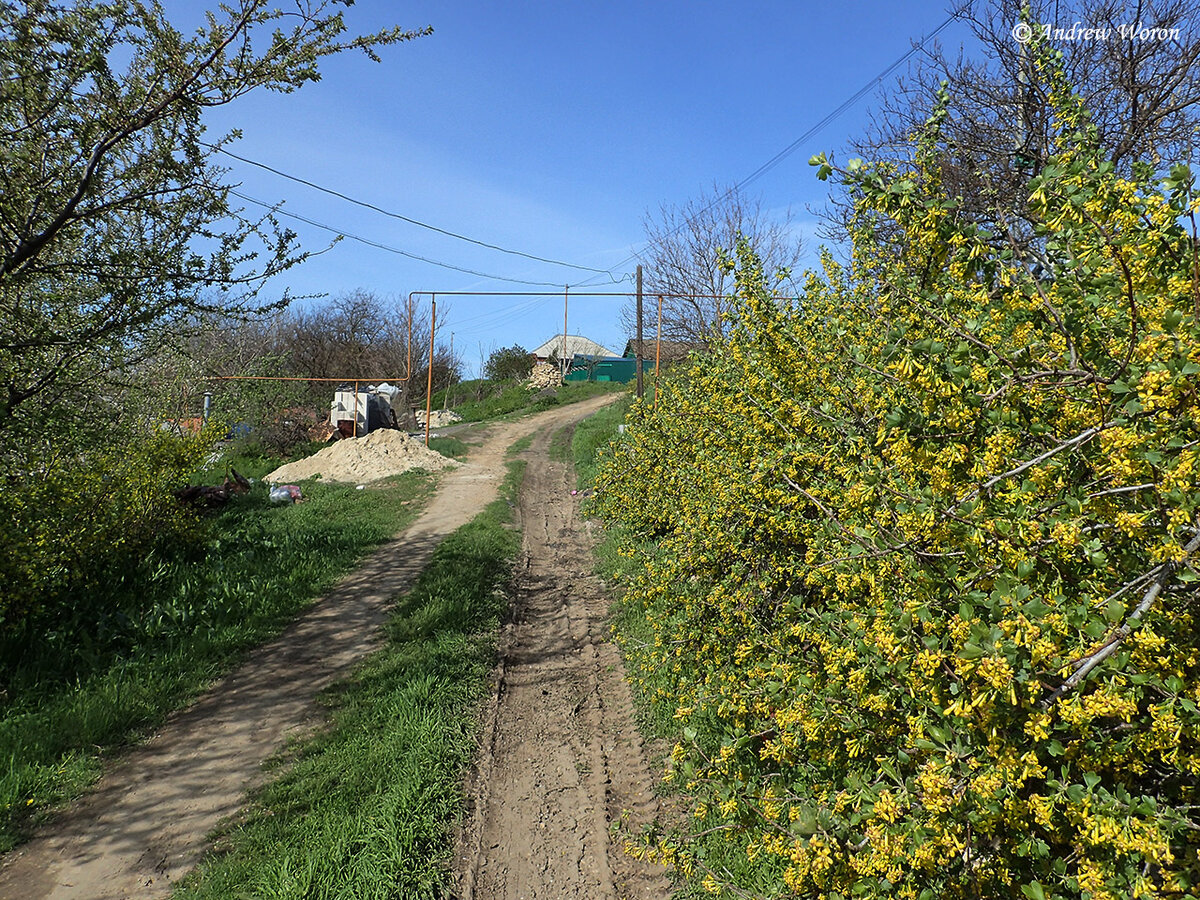 Одна из улочек хутора Недвиговка