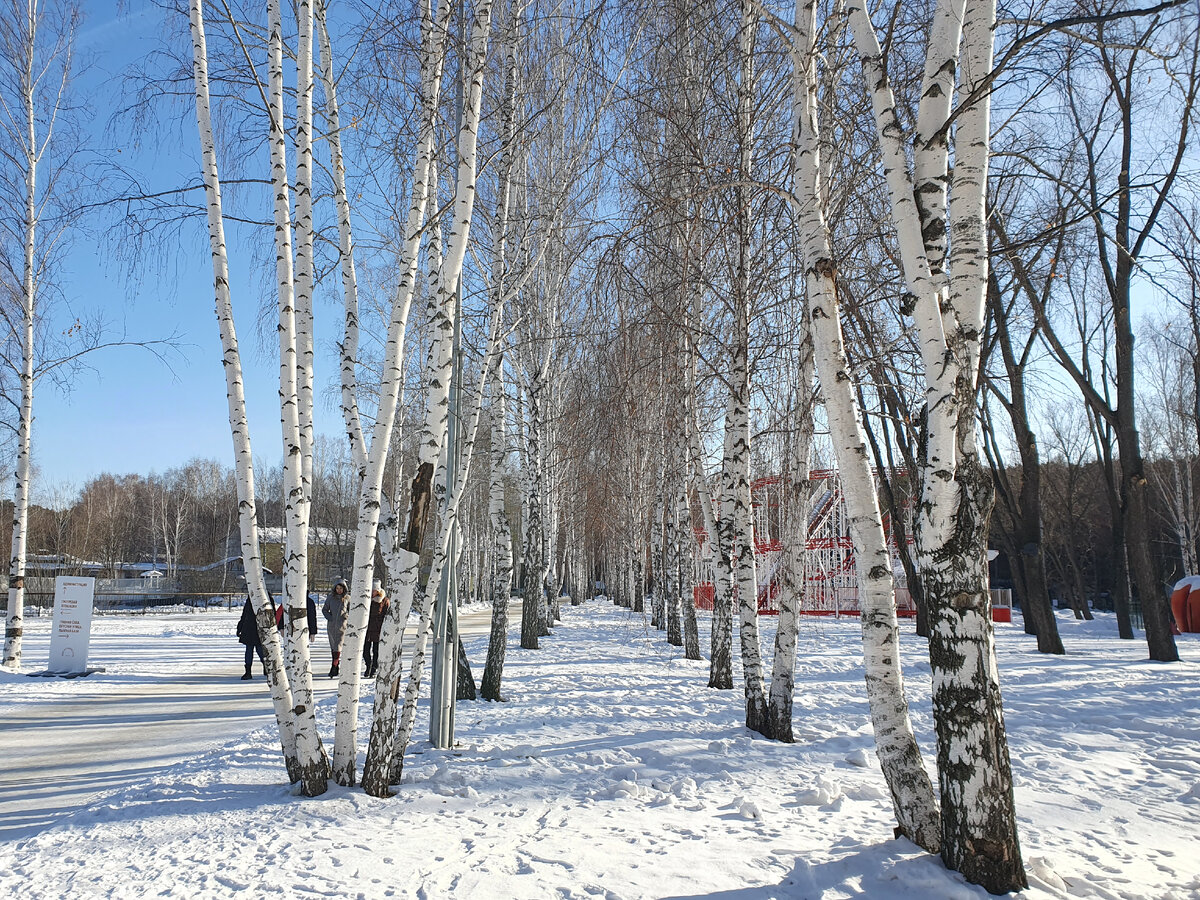 Уехала из Крыма в холодный Екатеринбург. Город небоскребов и третья столица  России? Как добраться в Крым с Урала сегодня | Крымская путешественница |  Дзен