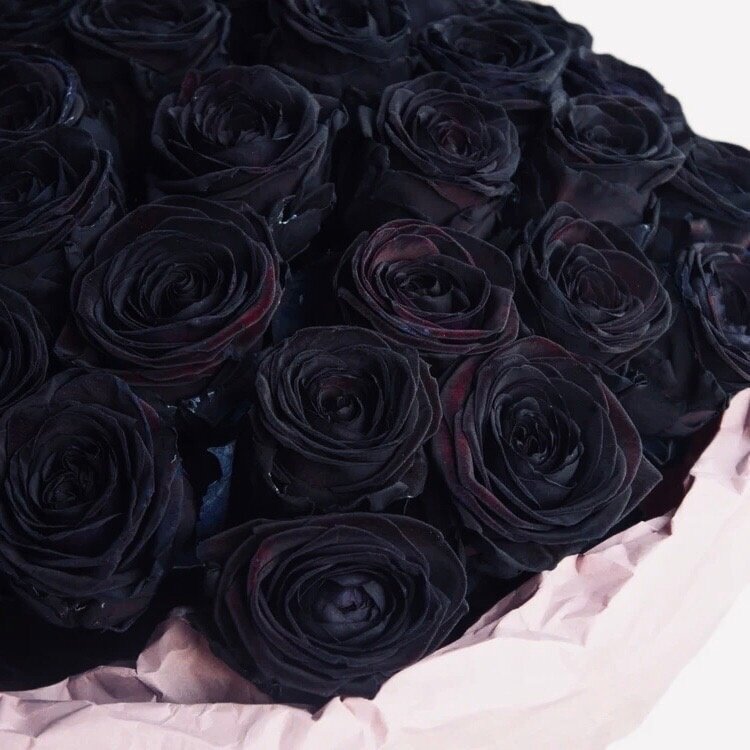 Чёрные розы 