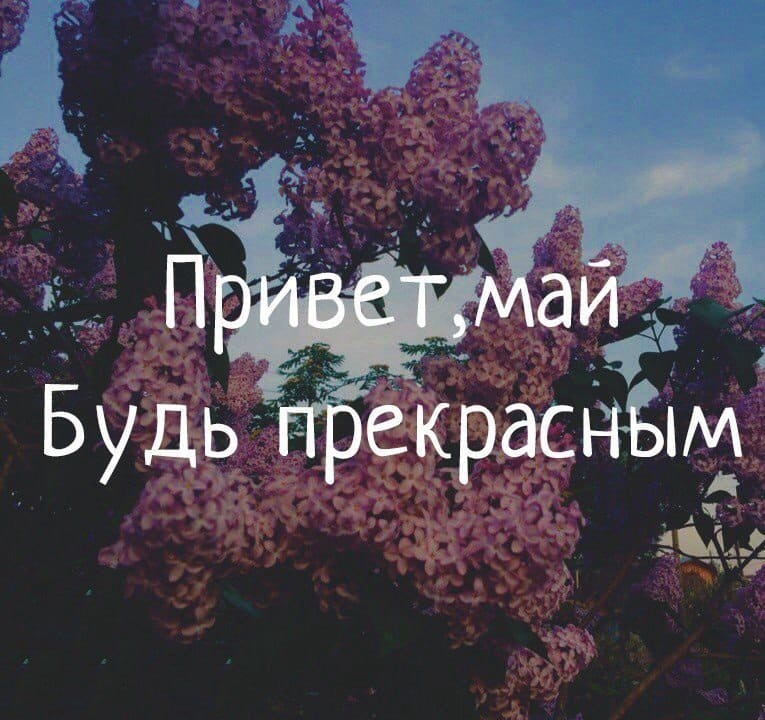 Фото с надписью май. Привет май. Май будь прекрасным. Ну привет май. Привет май картинки.