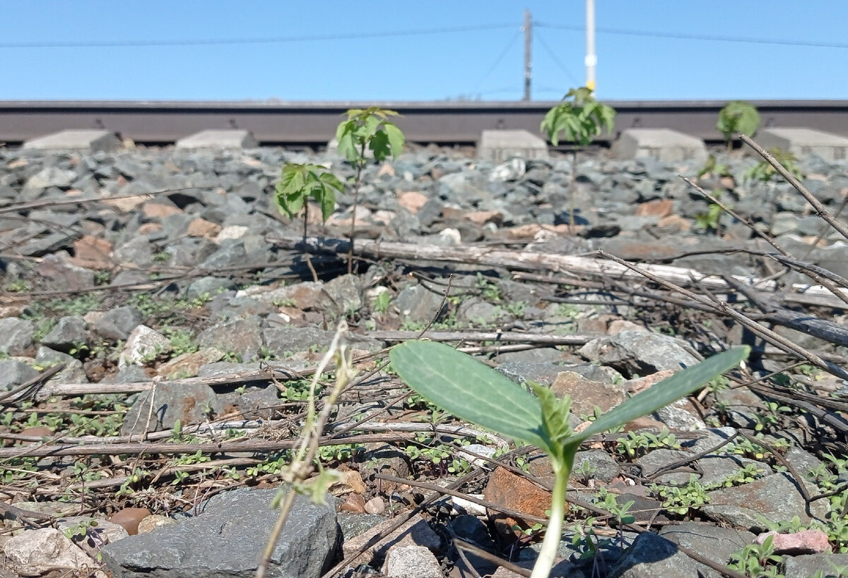 Кто хочет, тот все может, остальные ищут причины!