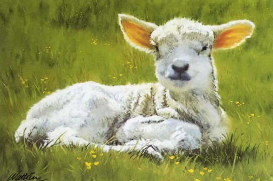 Барри Уоткин. Четыре дня. 6 х 4 дюйма
http://www.barrywatkin.co.uk/GreetingCards.html
