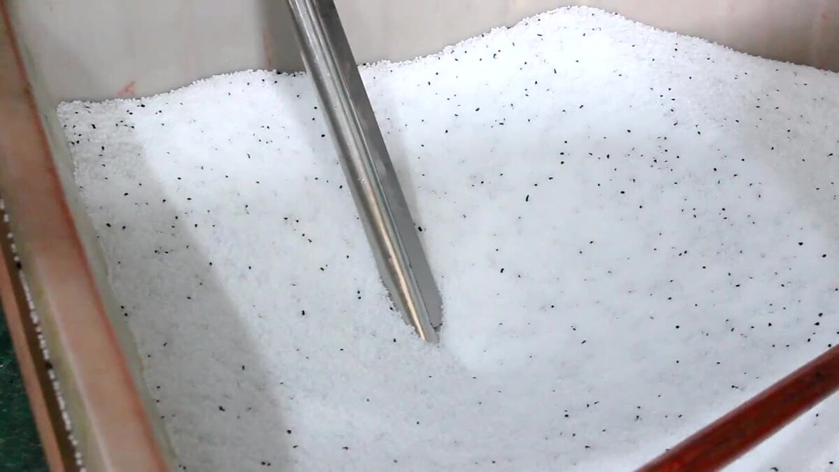 Как известно, семена петунии очень мелкие, и сеять их непросто. Если вы купили семена, не покрытые питательной оболочкой, то посеять их можно, перемешав с песком. Среди цветоводов пользуется популярностью также посев семян петунии на слой снега, который плотно укладывается в контейнер с землей. Если вы решили воспользоваться данным способом, поливать грунт не нужно: растаявший снег увлажнит его достаточно.