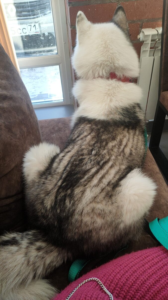 На сдаче анализов в клинике.