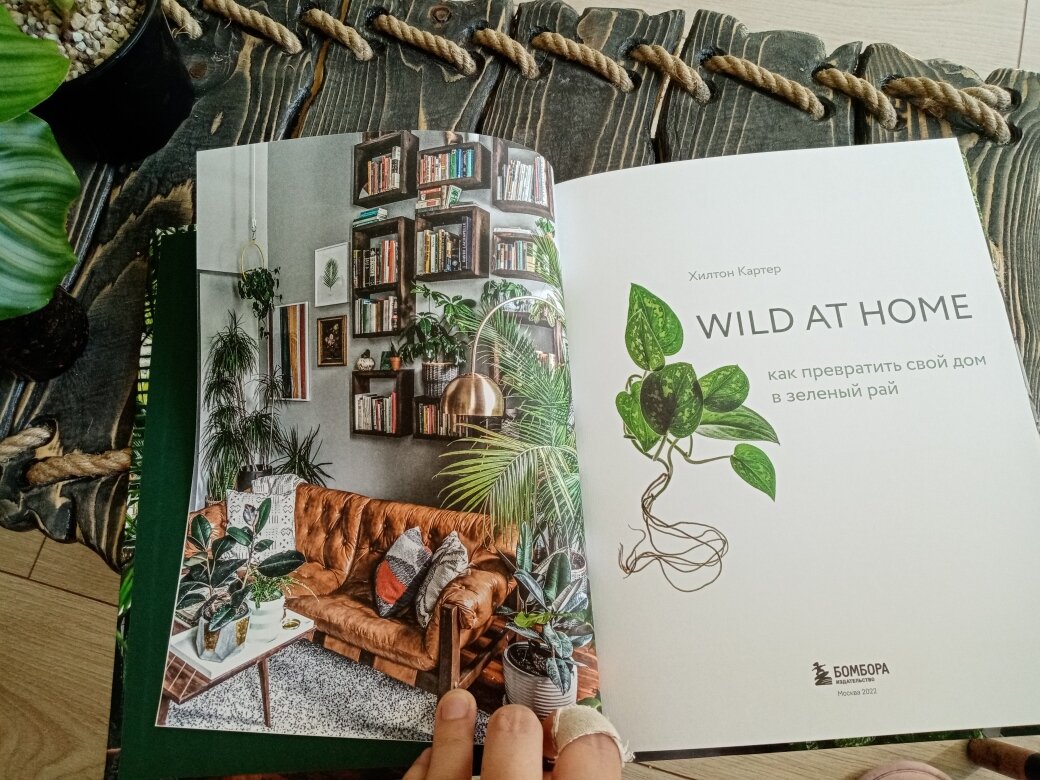 Что почитать о зелёных - отзыв на книгу Wild at home Хилтона Картера | Кто  сожрал хлорофитум | Дзен