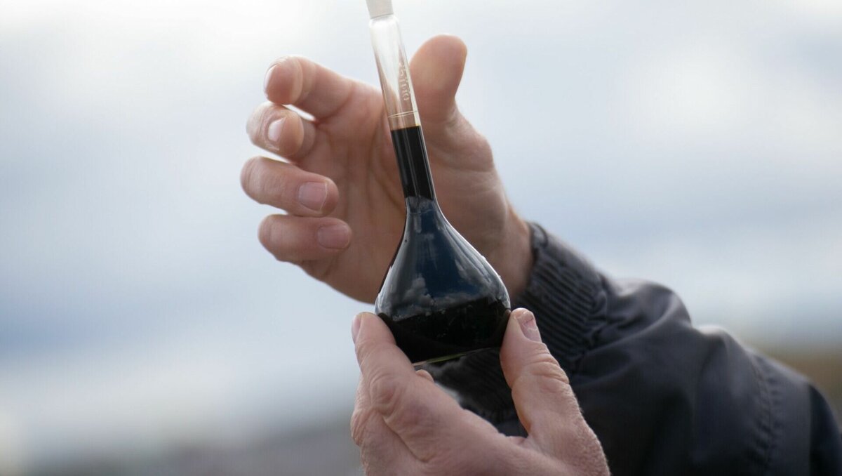     Последний раз данные публиковали за январь–февраль 2023 года. Эксперты считают, что сделано это для безопасности рынка.