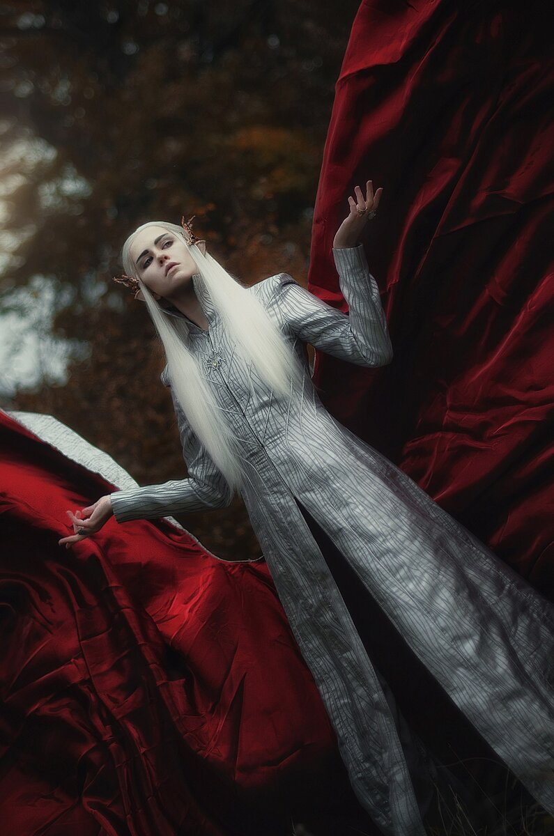 Стоимость образа на 2016г - 40000р + оплата фотографа - НЕ ЗАШЛО