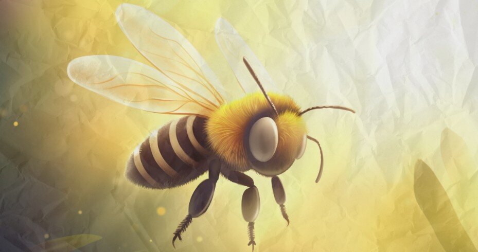 Фото: Reform Austin