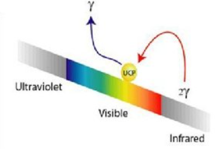 Люминесценция