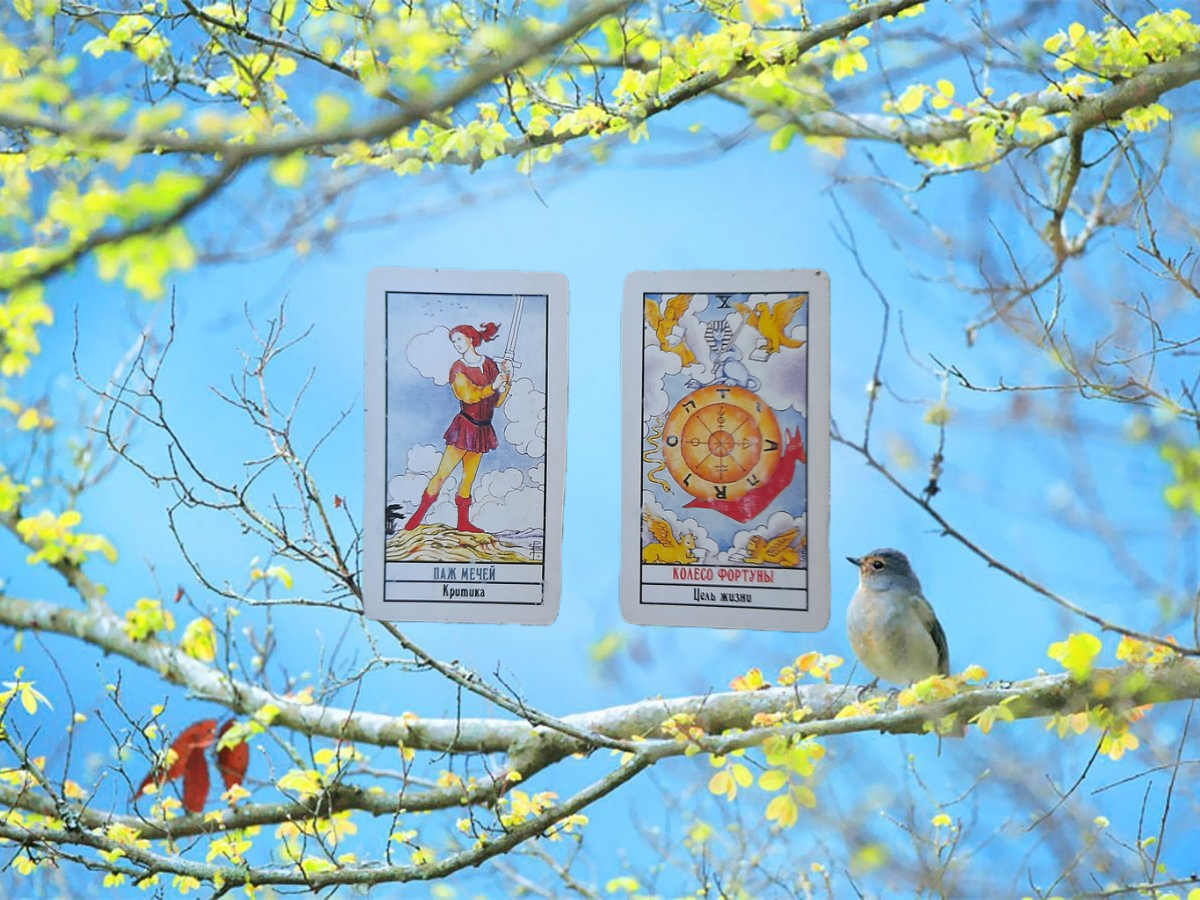 переходим к описанию