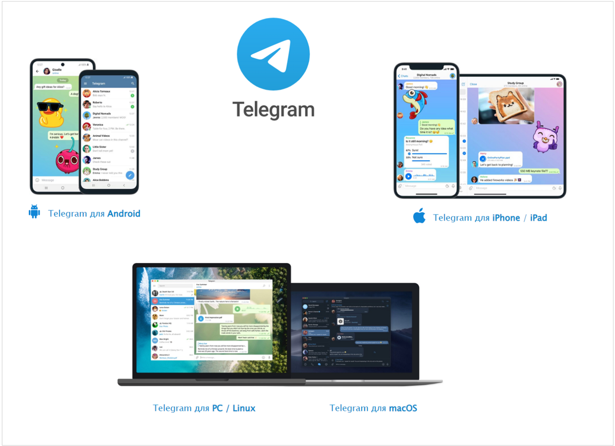 Only телеграм. Telegram установить на компьютер.