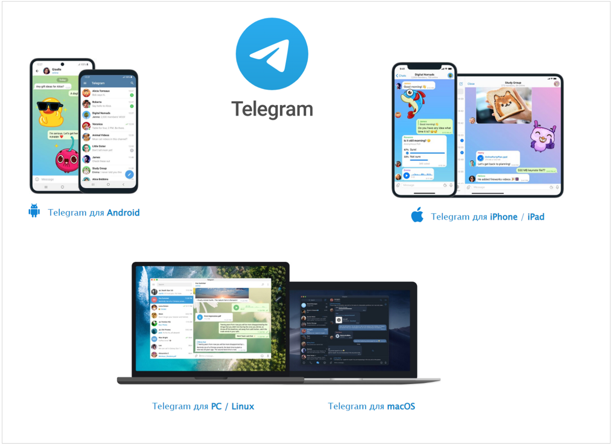 Можно ли Telegram установить только на компьютер | КомпГрамотность с  Надеждой | Дзен