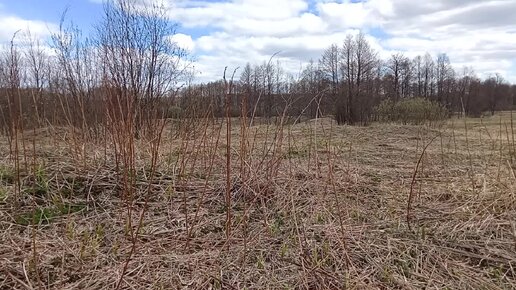 Хобби помогло забыть алкоголь, шурф и интересные монетки.