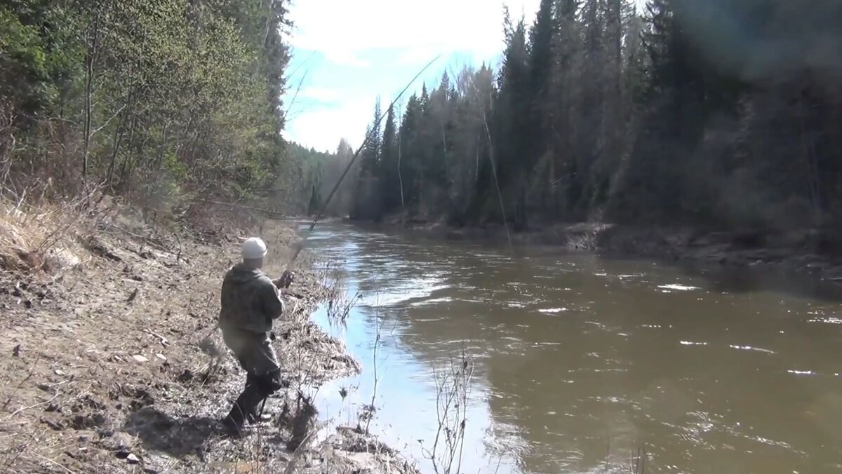 В видео: Рыбалка Иван тянет что то крупное Все Подбадривают Ивана Обычно так тянутся ЧЕРНЫЕ ХАРИУСА черный значит крупный Девственная тайга охота