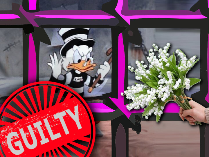 Ибо нече краснокнижных растениев рвать! Коллаж автора.