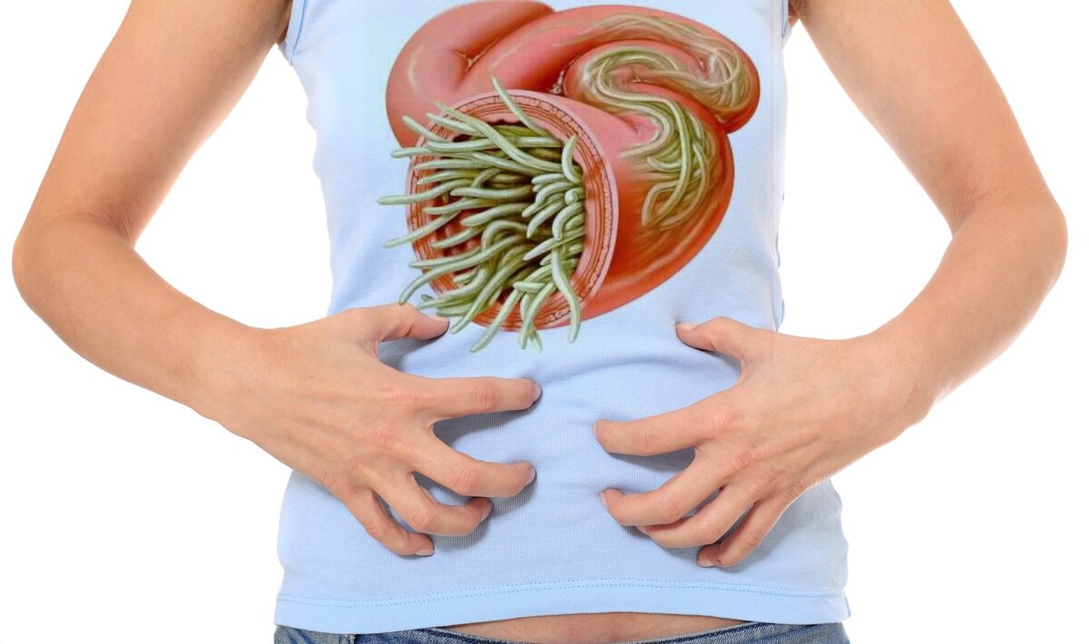 Иллюстрация взята с Яндекс картинок