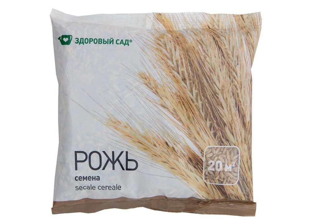 Фото с сайта https://7semyan.ru Рожь, семена 