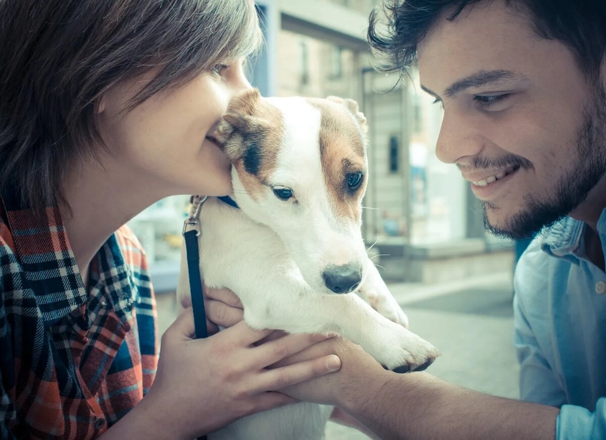 Фото с просторов Интернета