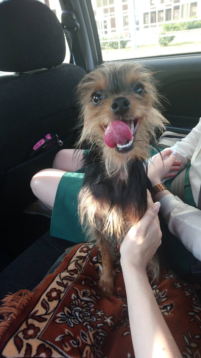 Только сели с ним в машину. Нервный, пока не понимает, куда это его.