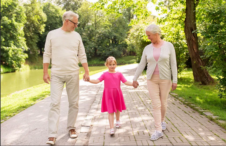 из свободного доступа