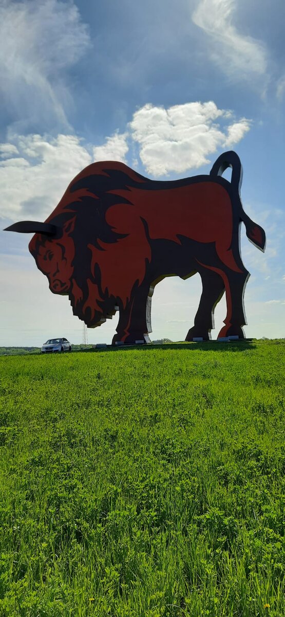 Фото: Павел Цысарь